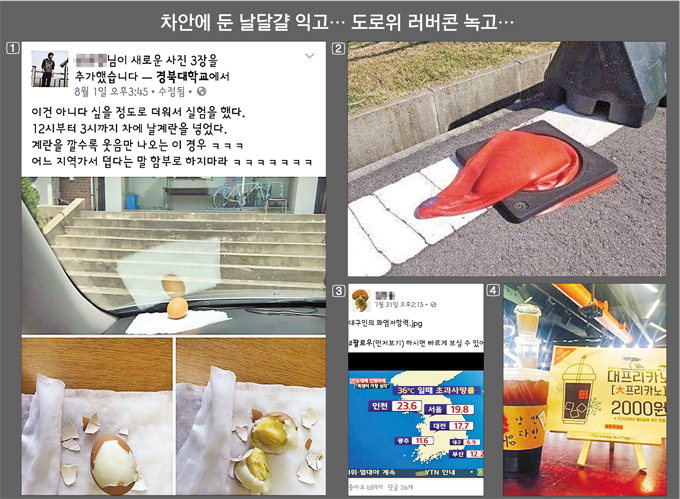 인터넷 뜨겁게 달군 ‘대프리카 위력’