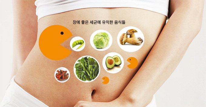 물만 먹어도 살찌는 당신 비만잡는 세균을 키워라