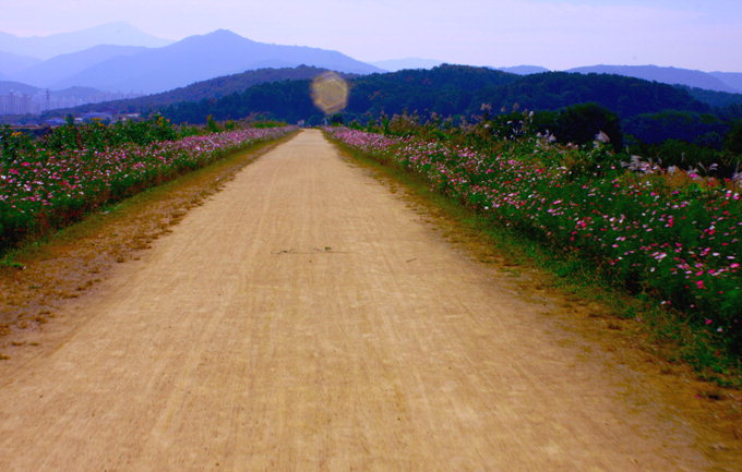 [서태영의 포토 바이킹] 달성 사문진 자전거 나룻길