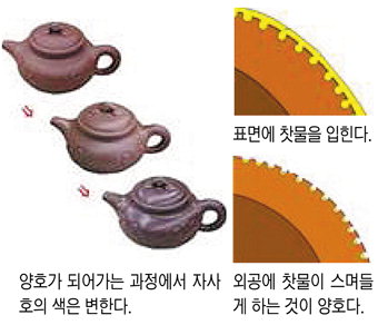 [김현남의 차마고도 기행 53·끝] 양호(養壺)에서 가장 중요한 것은 차를 한 종류로 한정해서 사용하는 것이다