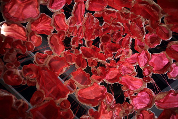 봉산문화회관 유리상자-아트스타…오지연 ‘감정세포-아름다운 짐’展