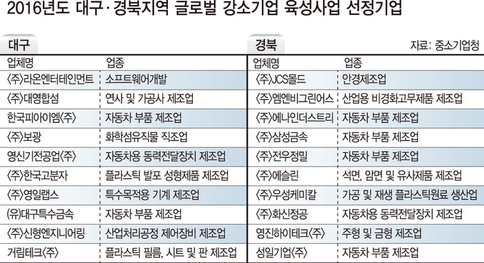 ‘글로벌 강소기업 사업’ 대구·경북 각각 10곳