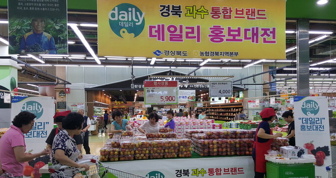 경북의 자두·복숭아·포도·사과는 ‘daily’로 통한다