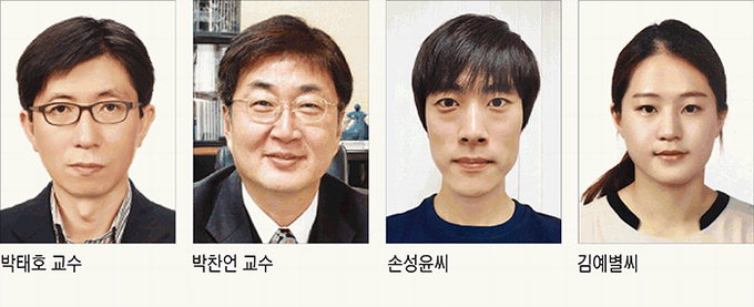 포스텍, 웨어러블 기기에 활용 ‘스마트한 고분자’ 개발
