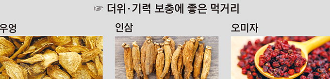 [동국대 한의대의 한의학 상식] 막바지 여름, 더위병 이기려면 우엉茶를 마셔라