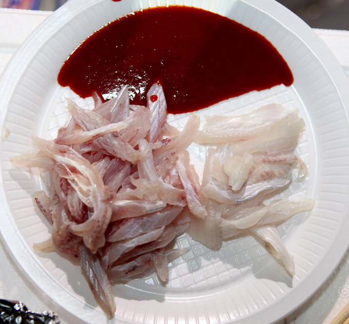 [김동욱의 낚시시대] ‘바다의 가을걷이’ 목포 갈치&주꾸미