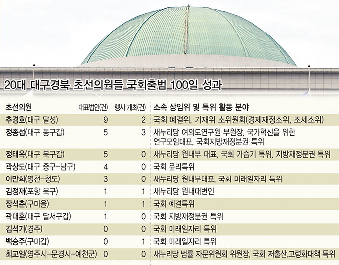 대표발의 법안 대구 초선 5명이 29건…경북은 6명이 5건 불과
