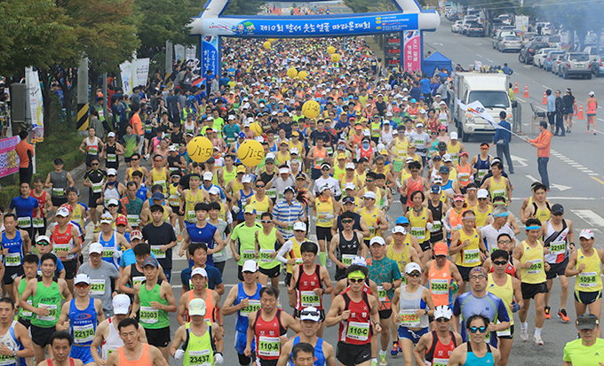 ‘달서 웃는얼굴 마라톤대회’…시민 1만여명 코스모스 만발한 낙동강변 가을 만끽