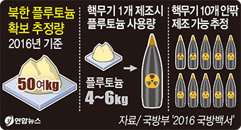 北 플루토늄 50㎏ 보유…핵폭탄 10개 제조 가능