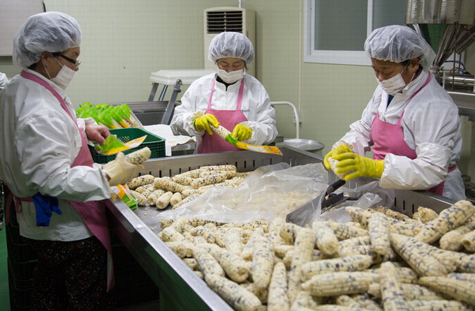 경북 사회적기업 고용률 62% 전국최고…올해도 일자리 5천개 목표
