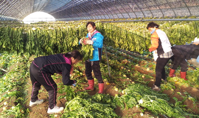 경북 사회적기업 고용률 62% 전국최고…올해도 일자리 5천개 목표