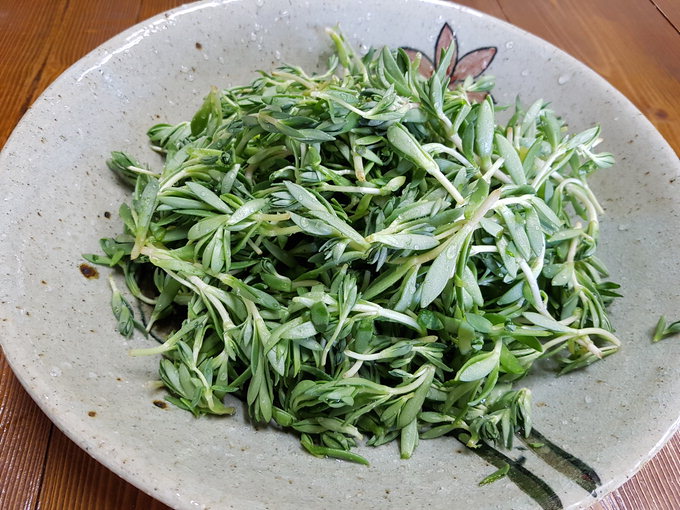 [오영환의 茶茶益善] 돌나물 발효액과 차