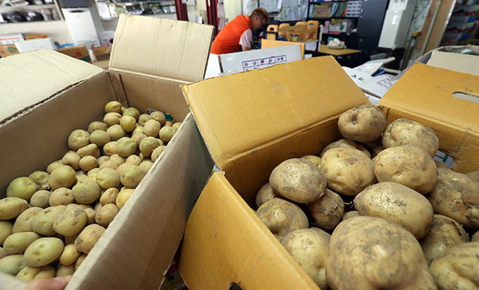 감자·양파 가격 급등…1년 전보다 39·53% 올라