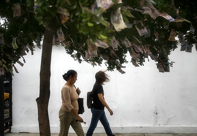 베네수엘라 가로수에 지폐 ‘주렁주렁’
