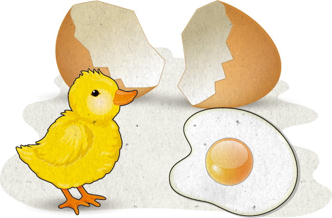 [밥상머리의 작은 기적] 인성교육- 계란프라이와 병아리