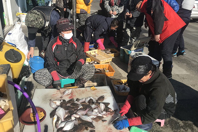 [김동욱의 낚시시대/손맛] 강원도 고성 공현진 가자미 배낚시