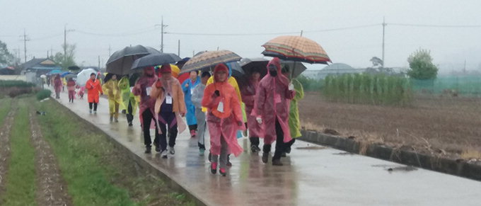 시민 400여명 비바람 속에 묘목길을 걷다