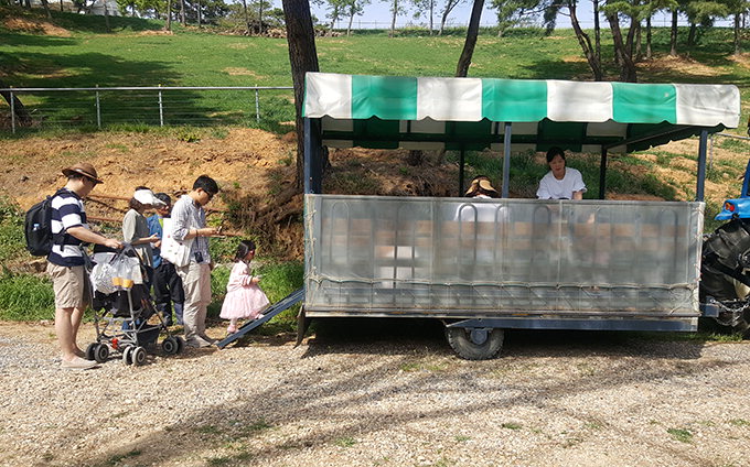 “드넓은 초지 자유롭게 거닐고…귀여운 양들 보니 저절로 힐링”…동물체험 핫플레이스 ‘칠곡 양떼목장’