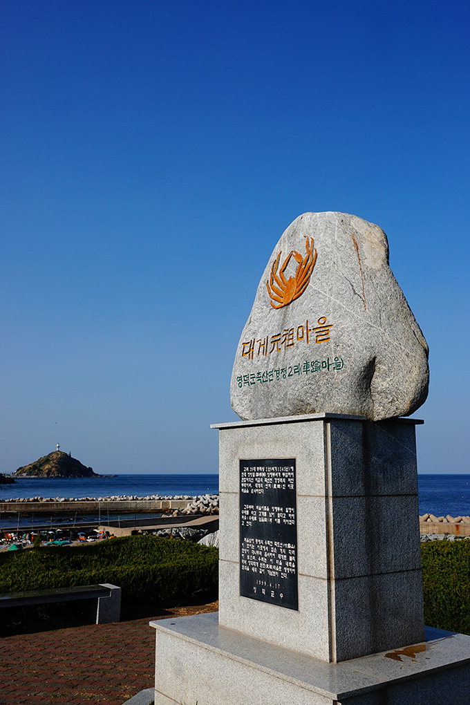 드라마가 몰고 온 대게특수…강구항 벨트에만 업소 170여곳 몰려
