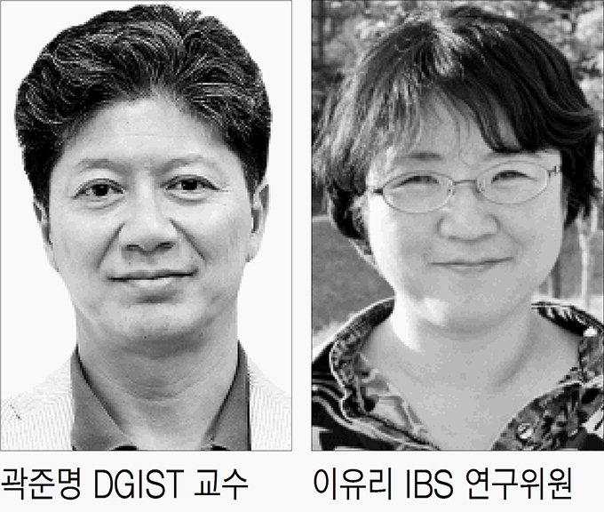 식물 노화 과정서 꽃잎 떨어지는 원리 밝혀