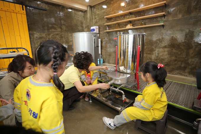 천연밀랍초 만들기·꿀 뜨기…칠곡 꿀벌나라테마공원 방문객 3만명 돌파