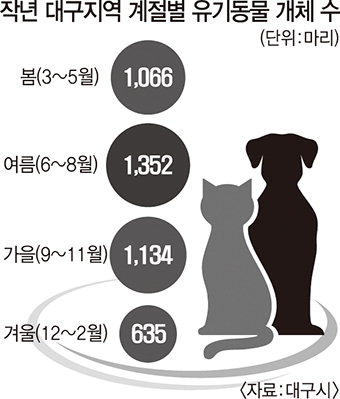 버림받는 반려동물…여름철이 더 두렵다