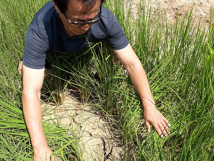 논 바닥 쩍쩍…수리시설 풀가동해도 해갈 ‘역부족’