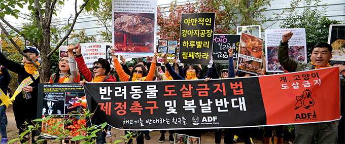 동물단체 “도살금지 즉시 시행을” VS 육견協 “농가 전·폐업 지원 필요”