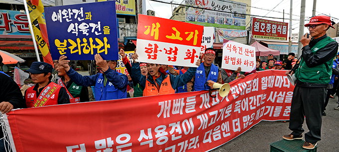 동물단체 “도살금지 즉시 시행을” VS 육견協 “농가 전·폐업 지원 필요”