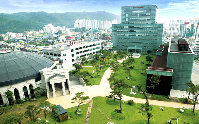 대구보건대, 올해 WCC 선정 등 교육부 재정지원사업 4관왕