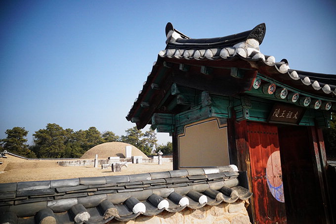 당도 일반 감의 4배 상주둥시…명주1번지 함창·낙동강 최고 포토존 경천섬