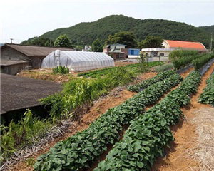 [공매정보] 군위군 의흥면 읍내리 토지