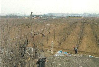 [공매정보] 영천 금호읍 신대리 토지·건물