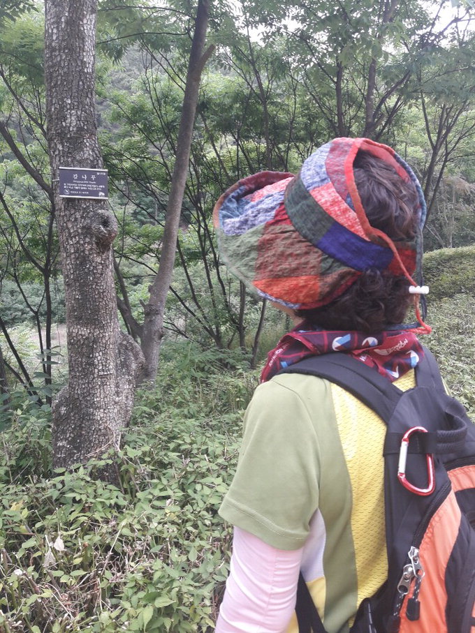 봉무공원 등산로 나무 200그루에 이름표