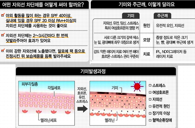 기미·검버섯 예방 자외선 차단제가 해결