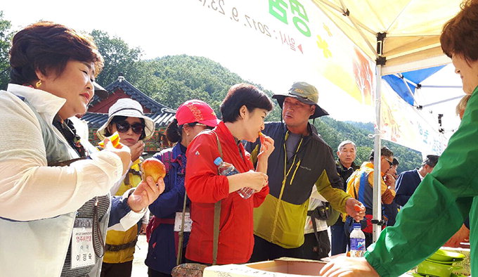 영양군, 마산서 특판행사…청송군은 서울서 자두 판촉