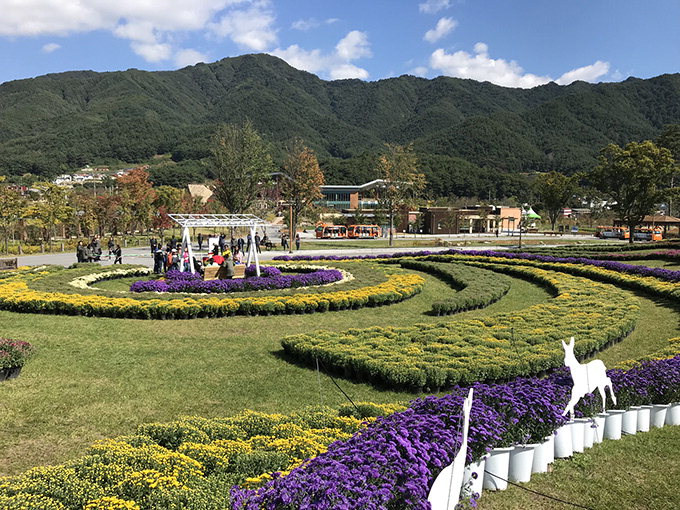 “봉화 자생 야생꽃, 봉자 축제서 즐기세요