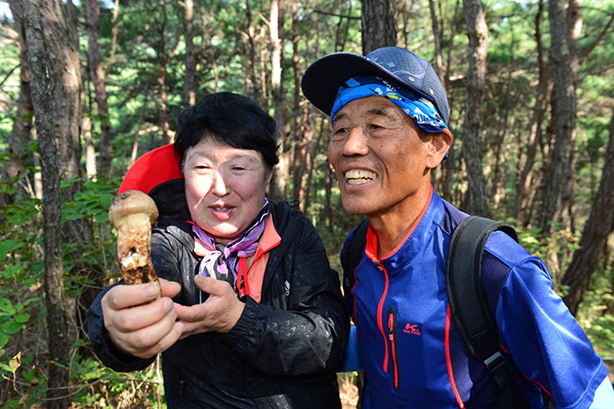 봉화송이축제, 작년보다 많은 21만명 찾았다