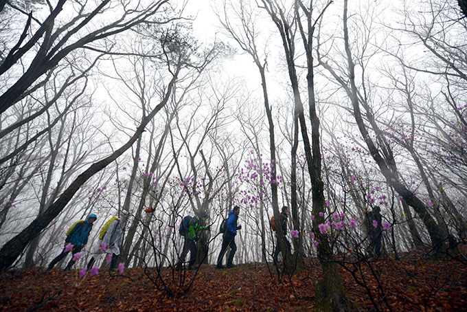 등산2