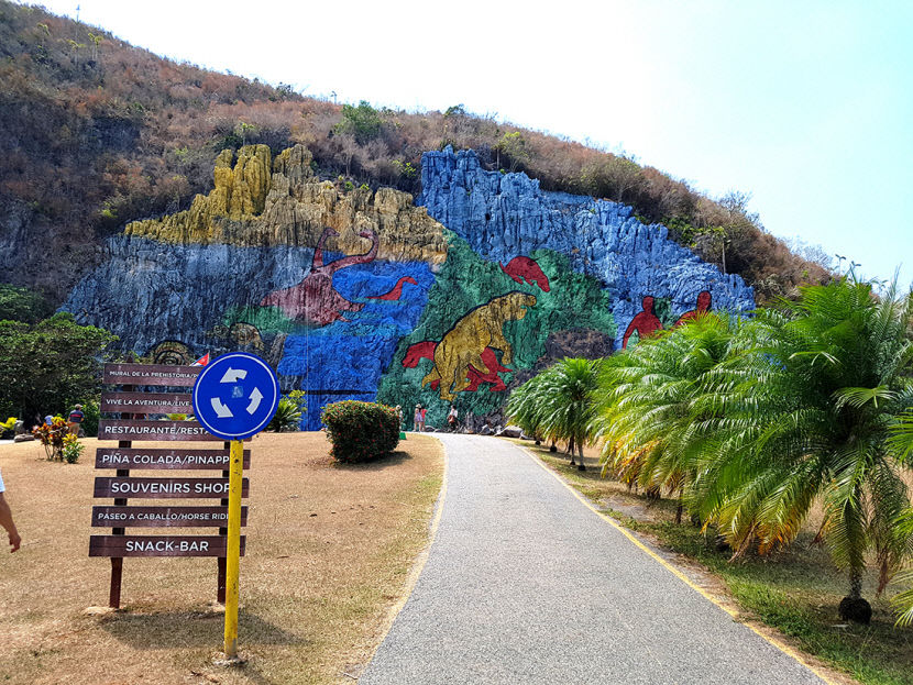 남미-7-1