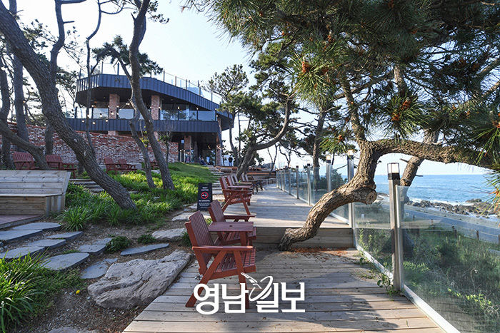 [스토리텔링 2020] 포항 12경 둘레 맛 기행 동해를 한눈에 네스트 코퍼레이션
