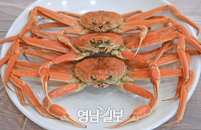 [스토리텔링 2020] 포항 12경 둘레 맛 기행 대게 요리의 모든 것 바다랑 대게