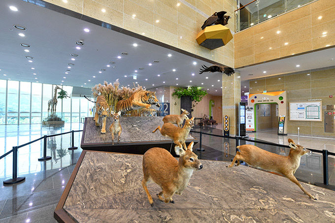 2020052801000918600036713