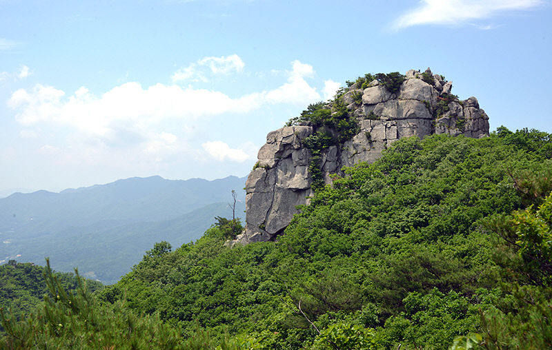 [최원식의 산] 팔공산 노적봉 891m(대구 동구·경북 경산)