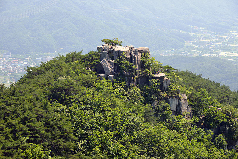 [최원식의 산] 팔공산 노적봉 891m(대구 동구·경북 경산)