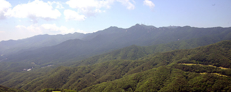 [최원식의 산] 팔공산 노적봉 891m(대구 동구·경북 경산)