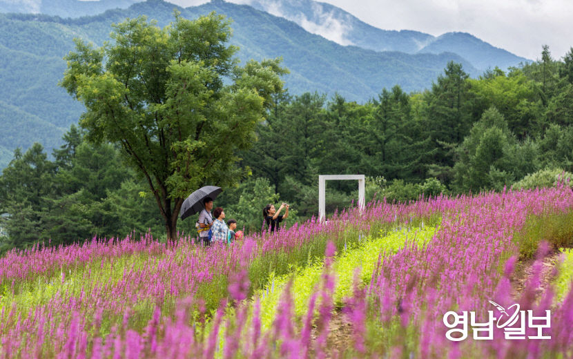 2020072901001184200050962