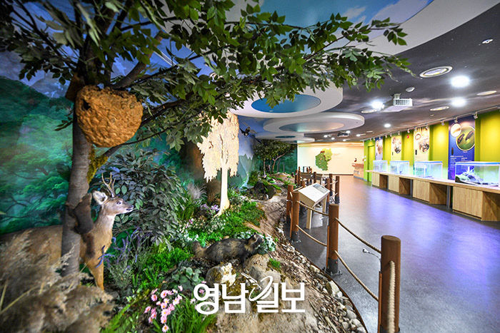 [지금가기 딱 좋은 청정 1번지 영양] (2) 수하계곡과 영양국제밤하늘보호공원