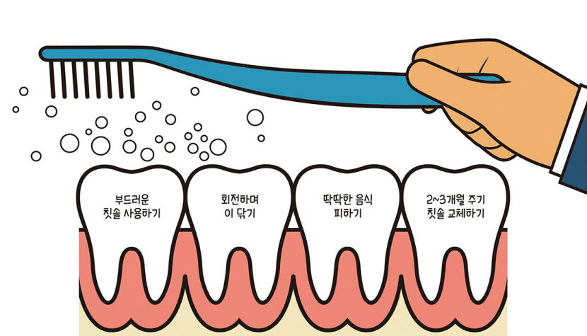 지각 과민 치아 원인과 치료법...칫솔질만 잘해도 시린이 예방