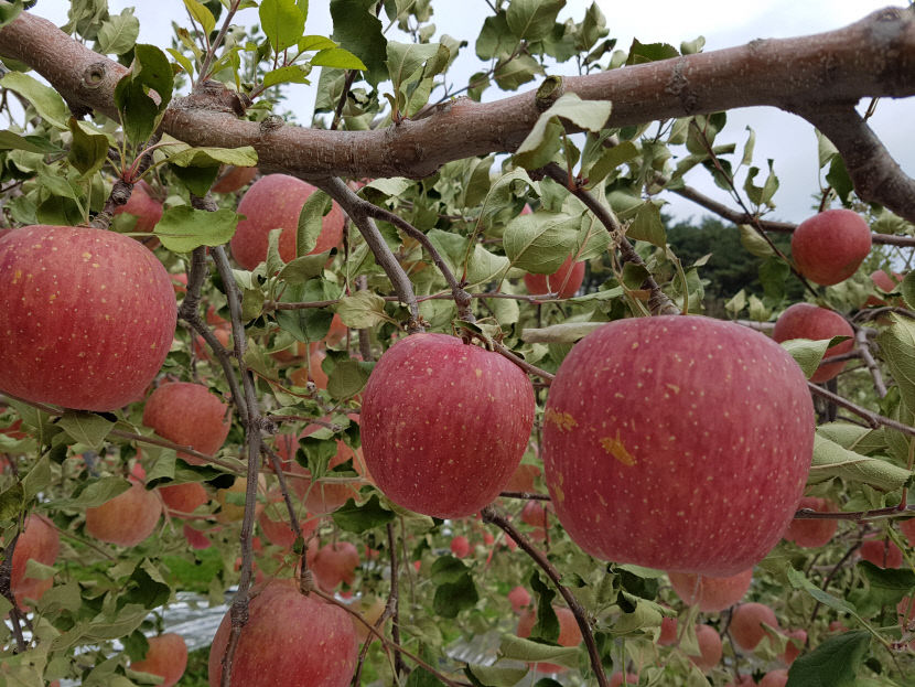 2020091401000475300018642